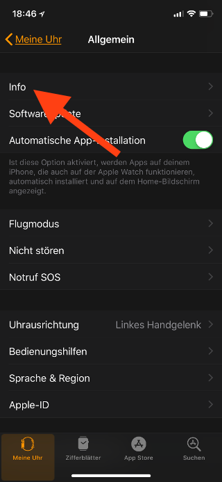Name der Apple Watch ändern Info auswählen